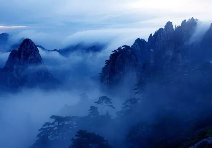 虫虫助手下载