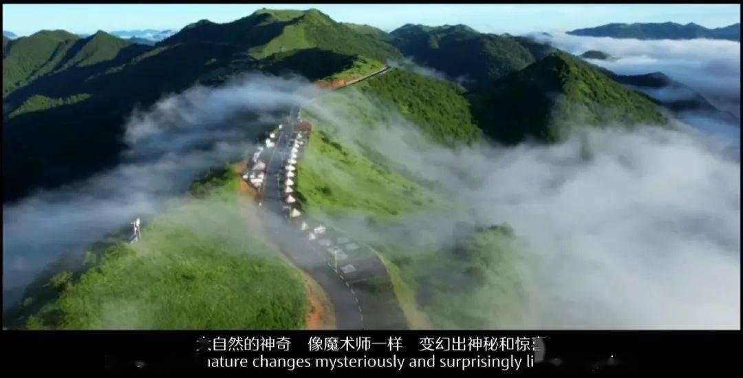 鲁媒:泰山队至少3人无缘亚冠报名,帕托、泽卡应该会入选